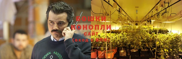 стафф Березники