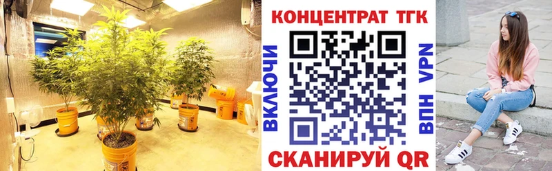 Дистиллят ТГК THC oil закладки Шумиха