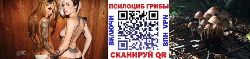 наркошоп  Шумиха  Псилоцибиновые грибы Psilocybe 